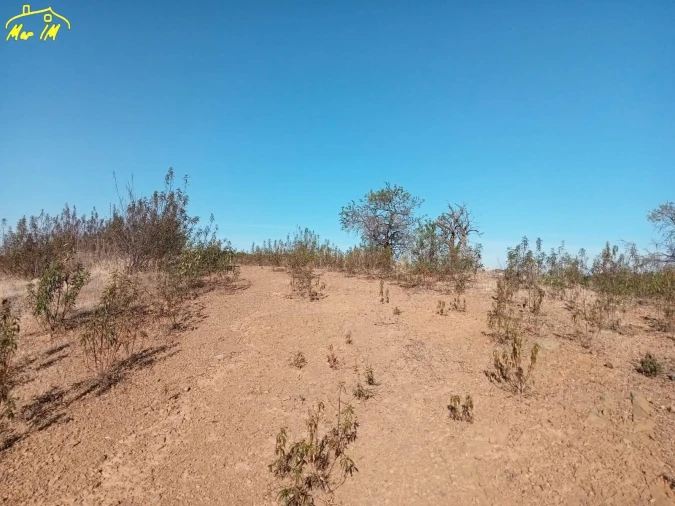 Terreno Agricola ou Rústico para Venda em Castro Marim Foto 33