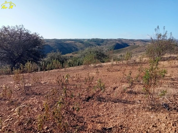 Terreno Agricola ou Rústico para Venda em Castro Marim Foto 36