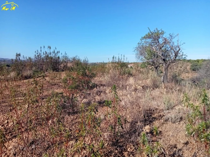 Terreno Agricola ou Rústico para Venda em Castro Marim Foto 41
