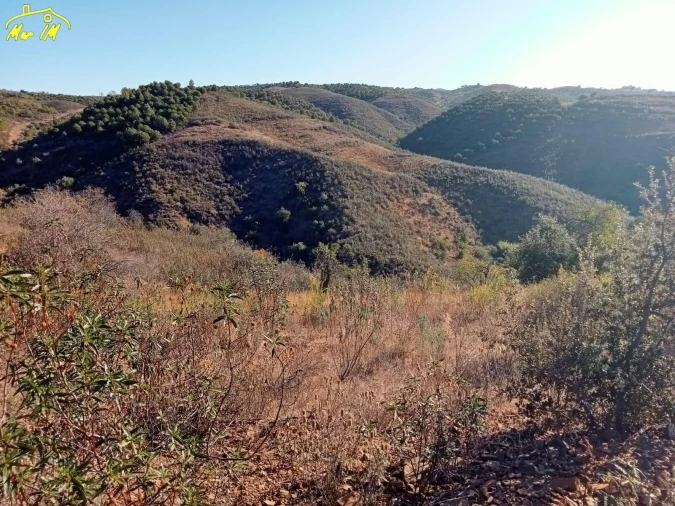 Terreno Agricola ou Rústico para Venda em Castro Marim Foto 5