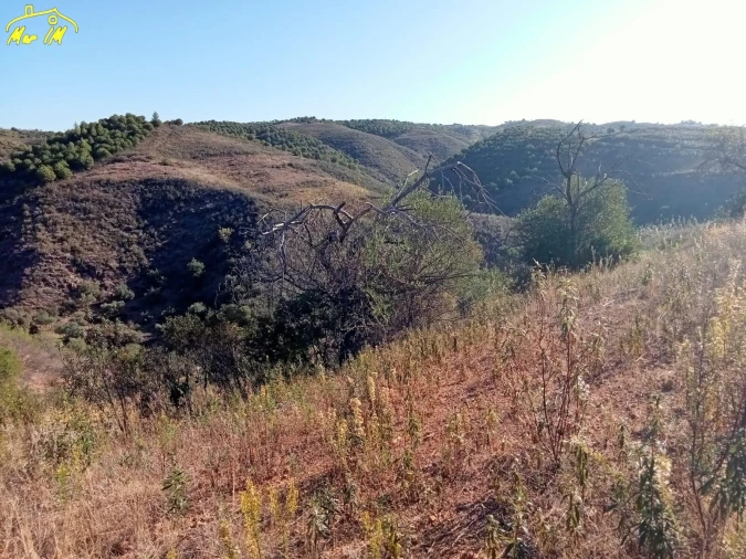 Terreno Agricola ou Rústico para Venda em Castro Marim Foto 50