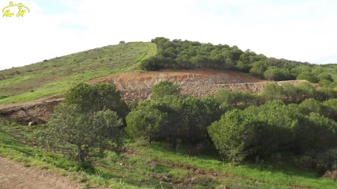 Terreno Agricola ou Rústico para Venda em Castro Marim