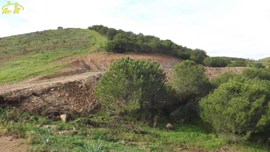 Terreno Agricola ou Rústico para Venda em Castro Marim Foto 8