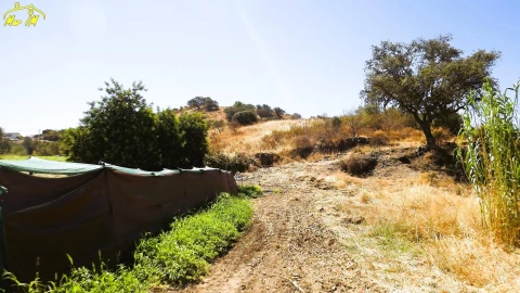Moradia T6 para Venda em Castro Marim