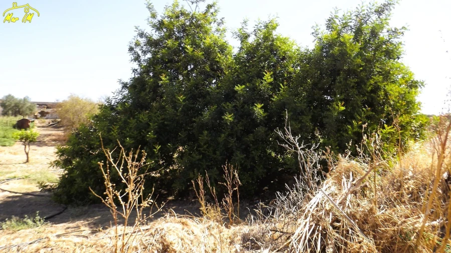 Moradia T6 para Venda em Castro Marim Foto 29