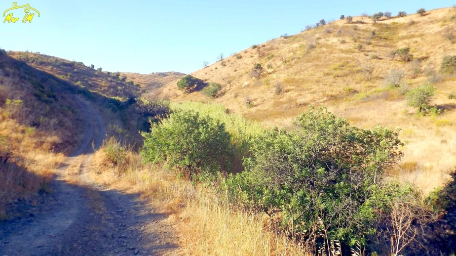 Terreno Agricola ou Rústico para Venda em Vila Real de Santo Antonio Foto 3