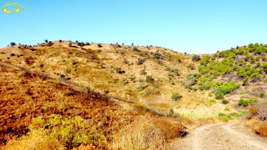 Terreno Agricola ou Rústico para Venda em Vila Real de Santo Antonio Foto 4