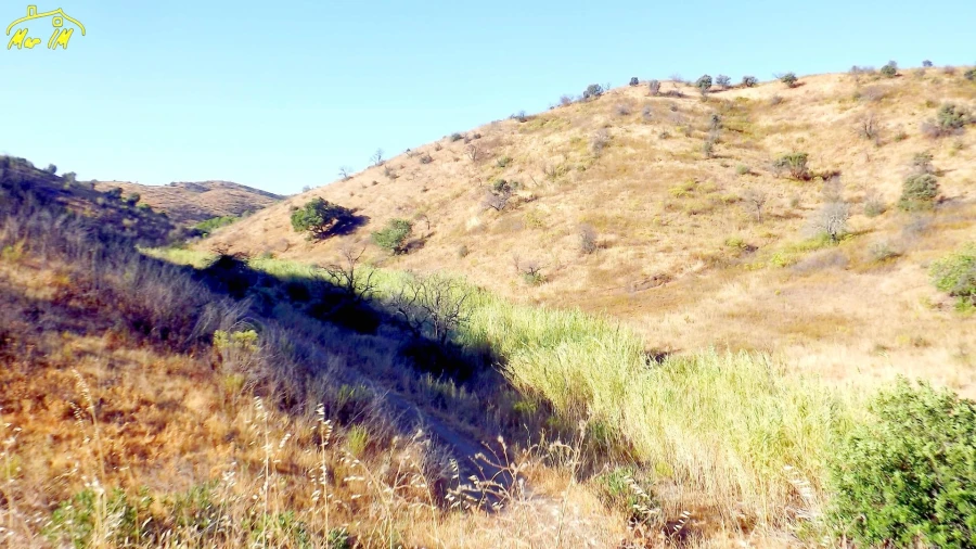 Terreno Agricola ou Rústico para Venda em Vila Real de Santo Antonio Foto 6