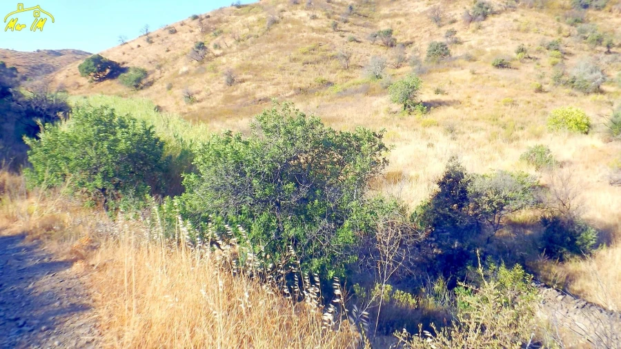 Terreno Agricola ou Rústico para Venda em Vila Real de Santo Antonio Foto 9