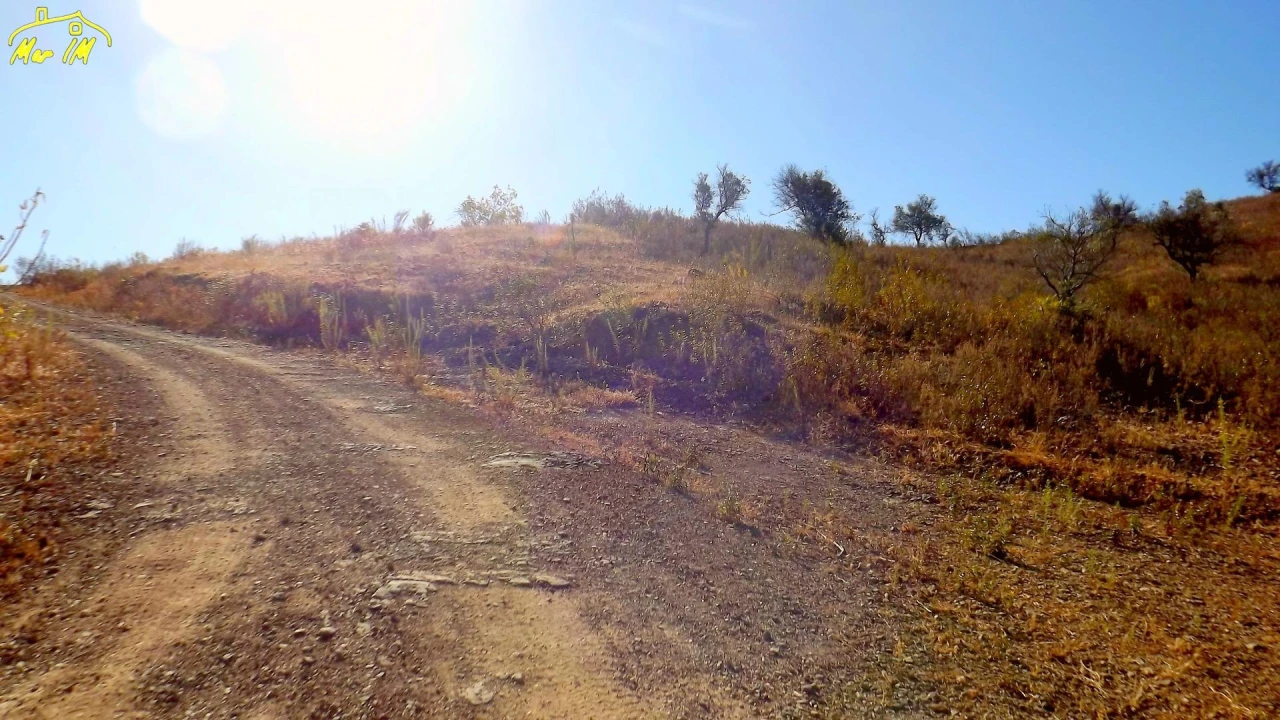 Terreno Agricola ou Rústico para Venda em Vila Real de Santo Antonio Foto 11