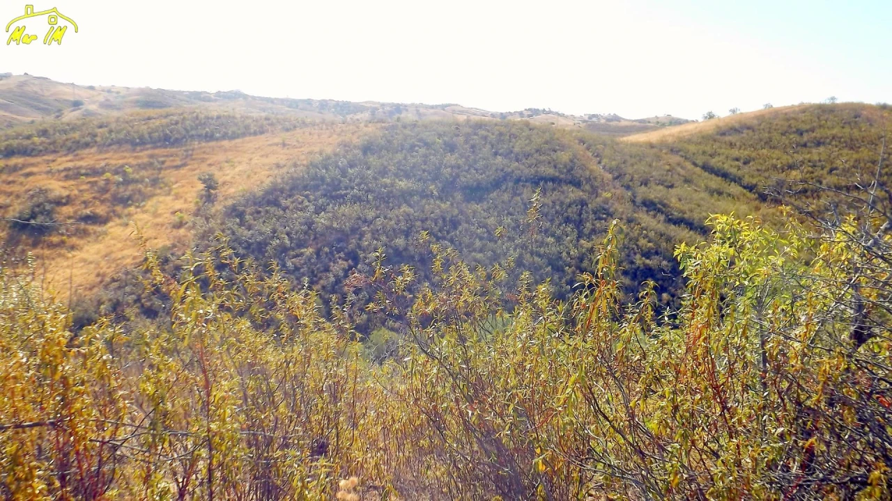 Terreno Agricola ou Rústico para Venda em Vila Real de Santo Antonio Foto 14