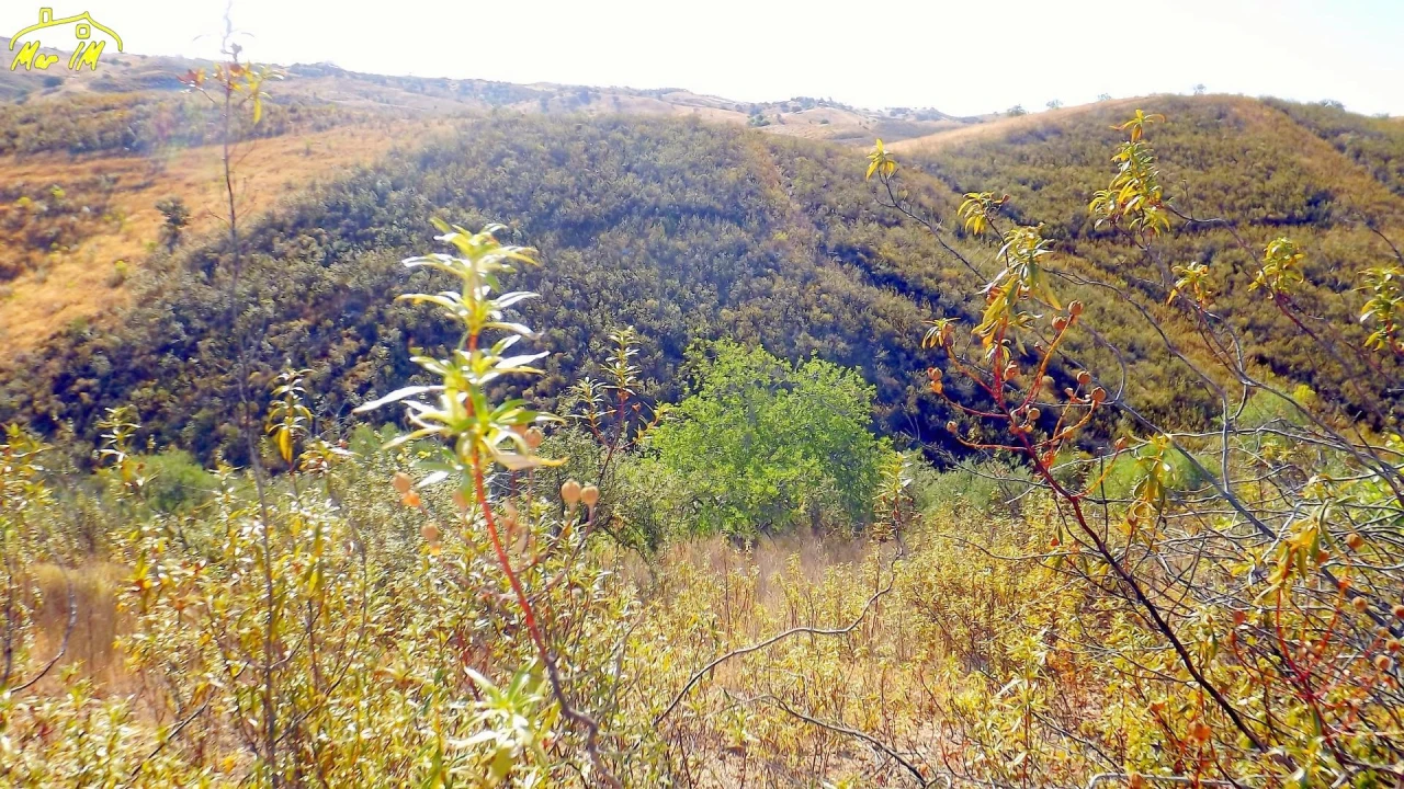Terreno Agricola ou Rústico para Venda em Vila Real de Santo Antonio Foto 16