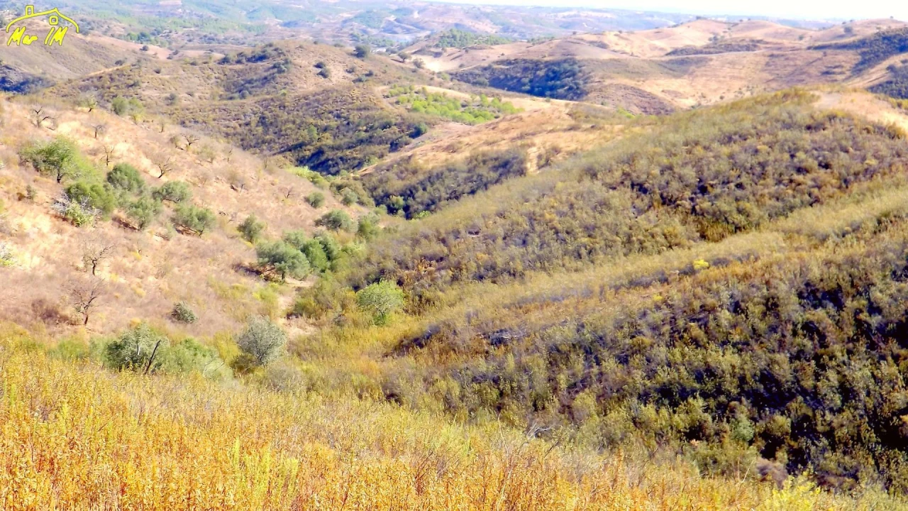 Terreno Agricola ou Rústico para Venda em Vila Real de Santo Antonio Foto 3
