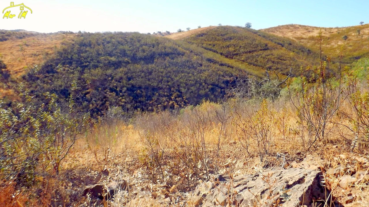Terreno Agricola ou Rústico para Venda em Vila Real de Santo Antonio Foto 9