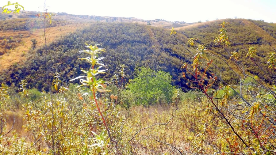 Terreno Agricola ou Rústico para Venda em Vila Real de Santo Antonio Foto 16