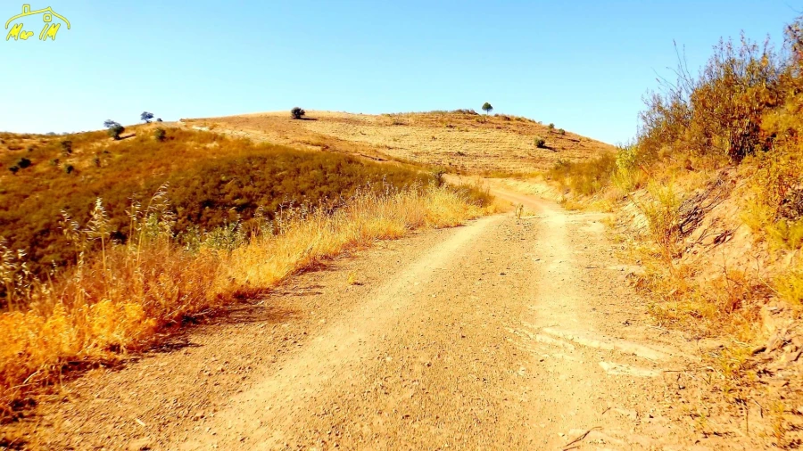 Terreno Agricola ou Rústico para Venda em Vila Real de Santo Antonio Foto 20