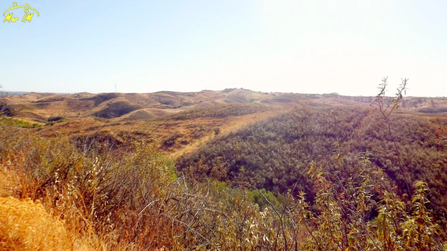 Terreno Agricola ou Rústico para Venda em Vila Real de Santo Antonio Foto 23