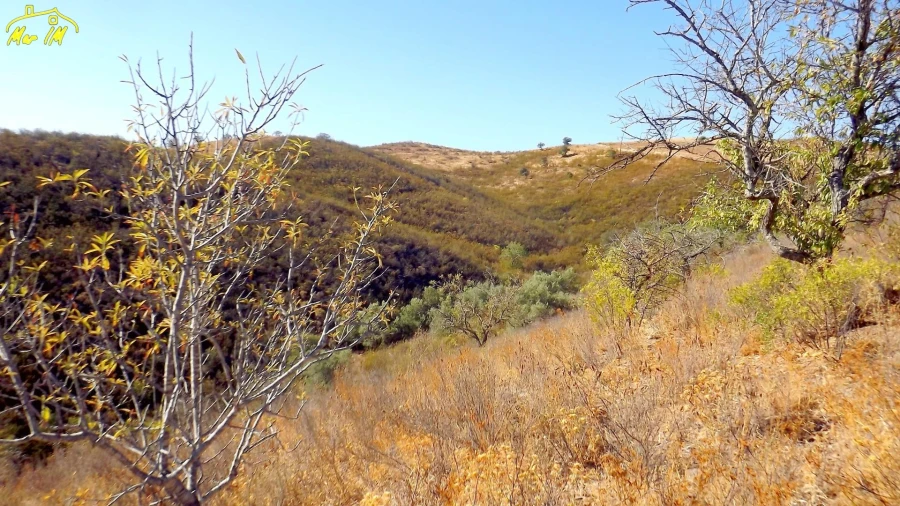 Terreno Agricola ou Rústico para Venda em Vila Real de Santo Antonio Foto 4