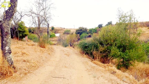 Moradia T1 para Venda em Conceição e Cabanas de Tavira