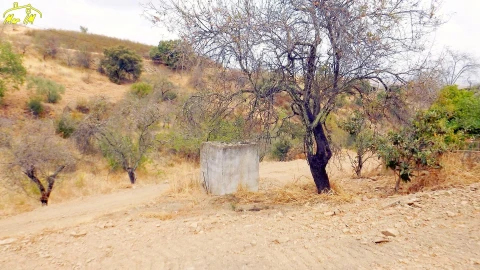 Moradia T1 para Venda em Conceição e Cabanas de Tavira