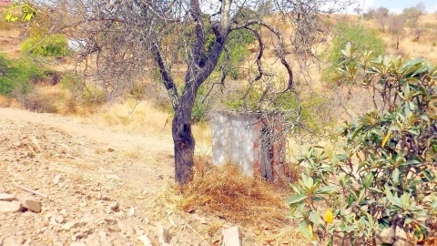 Moradia T1 para Venda em Conceição e Cabanas de Tavira