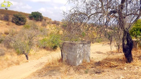 Moradia T1 para Venda em Conceição e Cabanas de Tavira