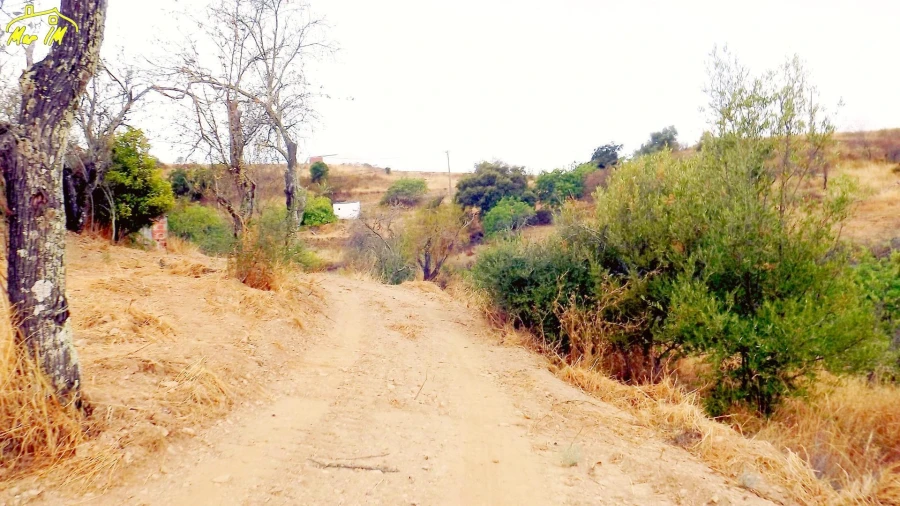 Moradia T1 para Venda em Conceição e Cabanas de Tavira Foto 15