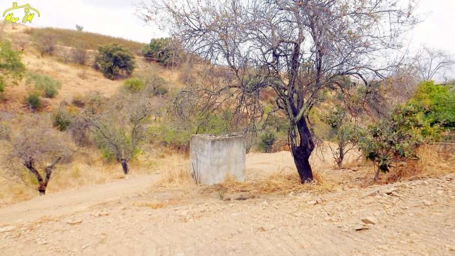 Moradia T1 para Venda em Conceição e Cabanas de Tavira Foto 31