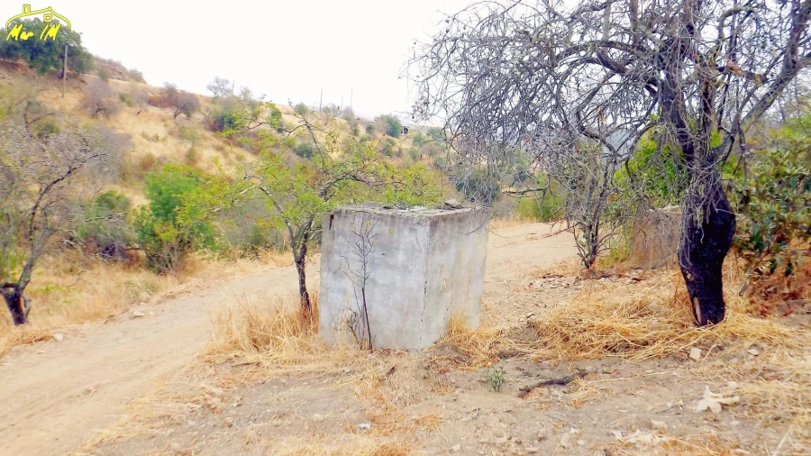 Moradia T1 para Venda em Conceição e Cabanas de Tavira Foto 8