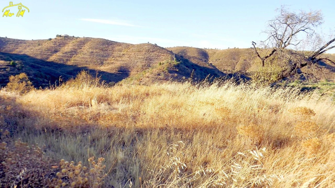 Terreno Agricola ou Rústico para Venda em Odeleite Foto 10