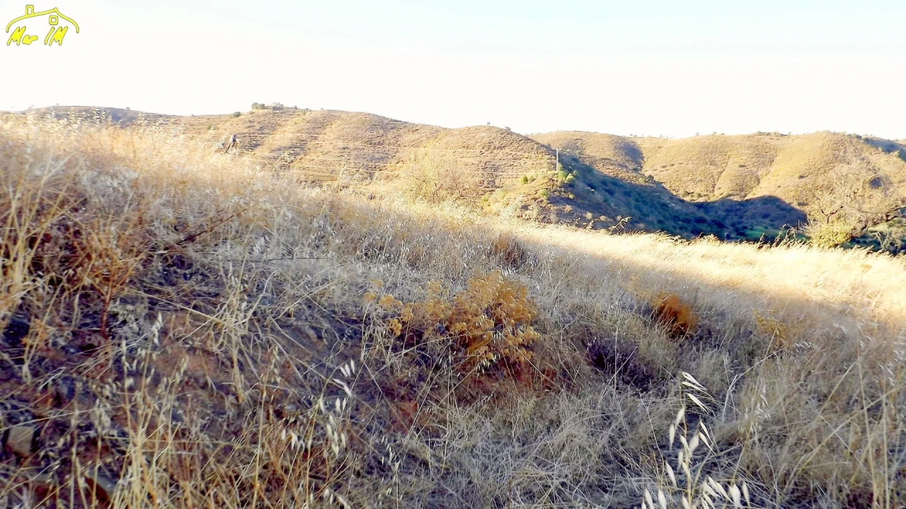 Terreno Agricola ou Rústico para Venda em Odeleite Foto 14