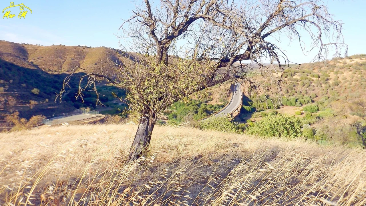 Terreno Agricola ou Rústico para Venda em Odeleite Foto 5