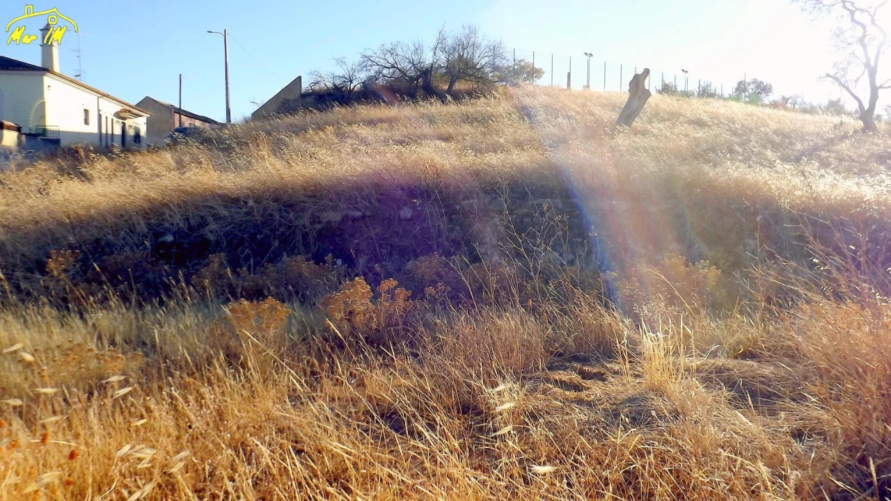 Terreno Agricola ou Rústico para Venda em Odeleite Foto 6