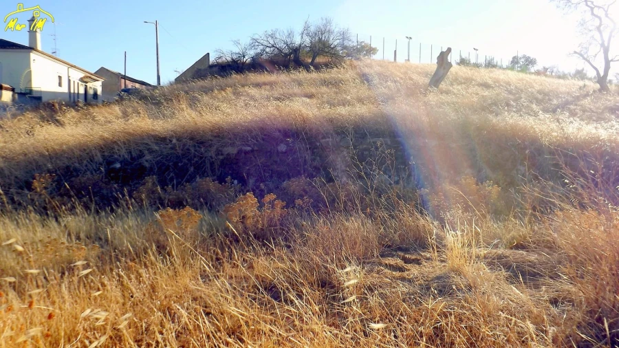 Terreno Agricola ou Rústico para Venda em Odeleite Foto 6