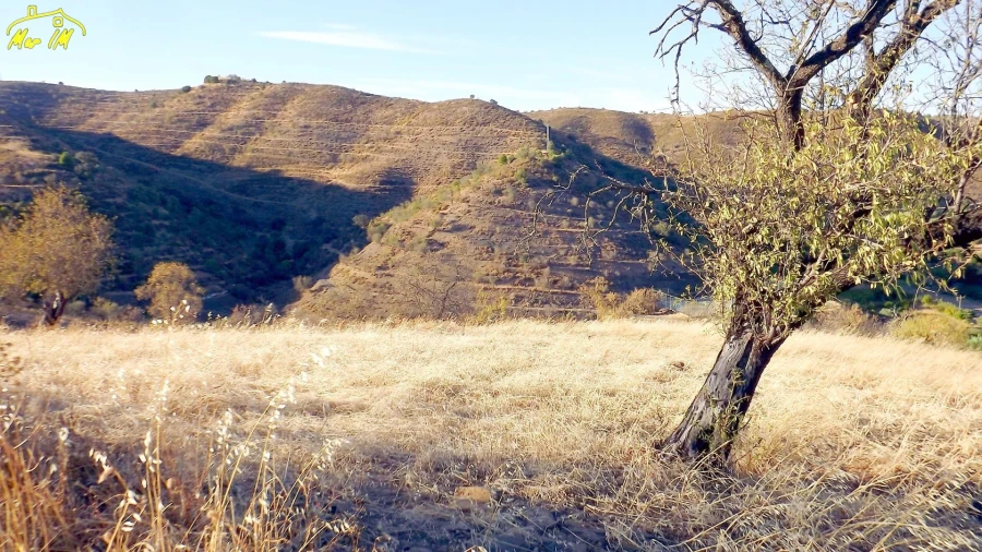 Terreno Agricola ou Rústico para Venda em Odeleite Foto 8