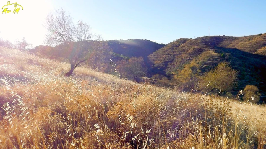 Terreno Agricola ou Rústico para Venda em Odeleite Foto 9