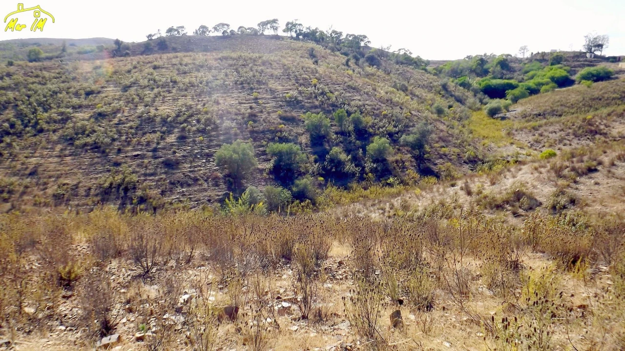 Terreno Agricola ou Rústico para Venda em Vila Real de Santo Antonio Foto 23