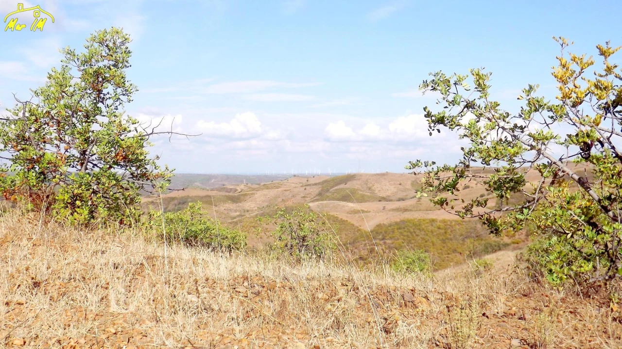 Terreno Agricola ou Rústico para Venda em Vila Real de Santo Antonio Foto 29