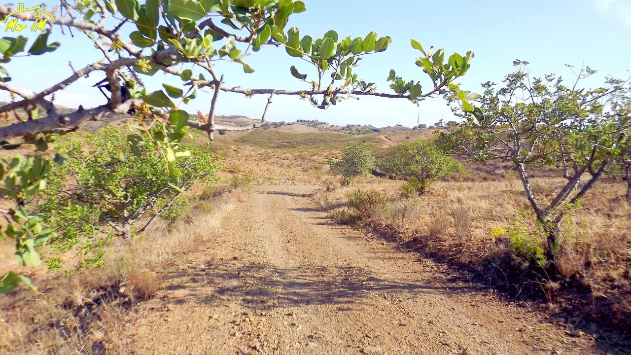 Terreno Agricola ou Rústico para Venda em Vila Real de Santo Antonio Foto 42