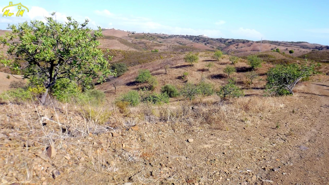 Terreno Agricola ou Rústico para Venda em Vila Real de Santo Antonio Foto 44