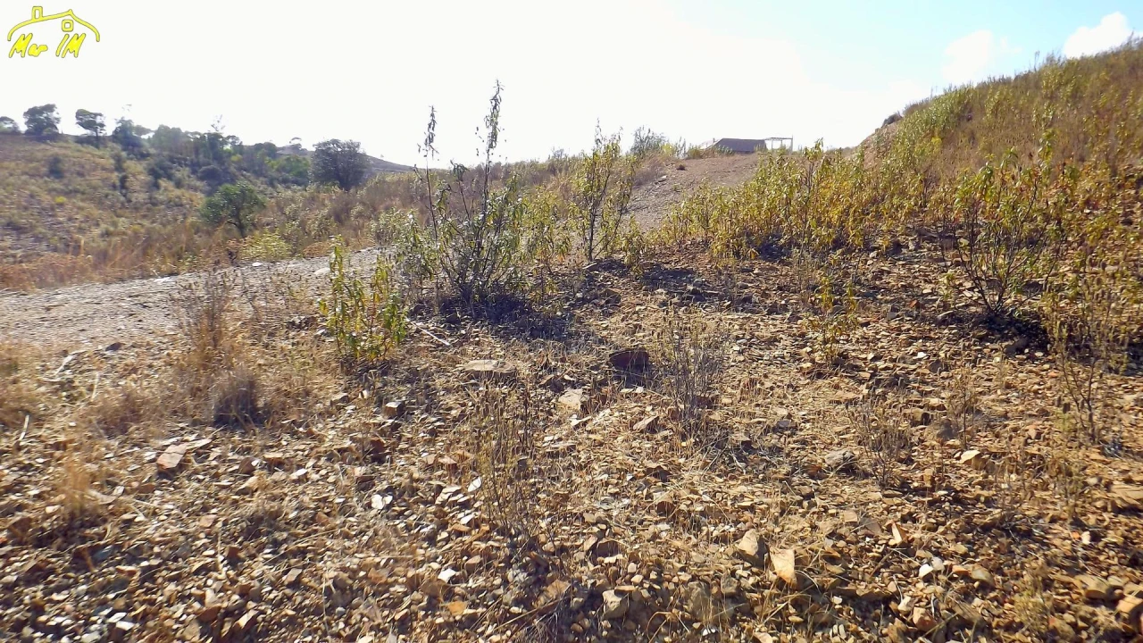 Terreno Agricola ou Rústico para Venda em Vila Real de Santo Antonio Foto 8