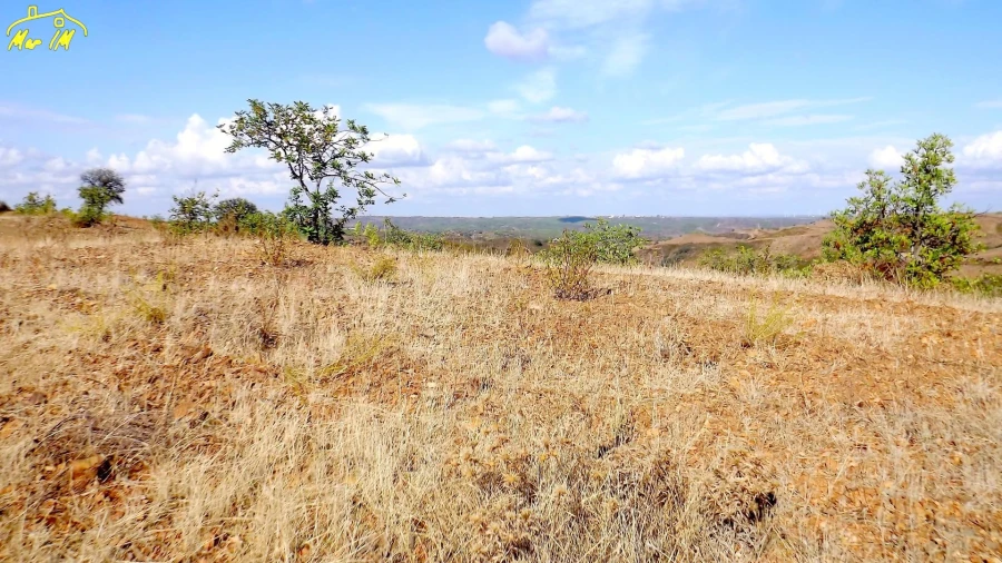 Terreno Agricola ou Rústico para Venda em Vila Real de Santo Antonio Foto 1