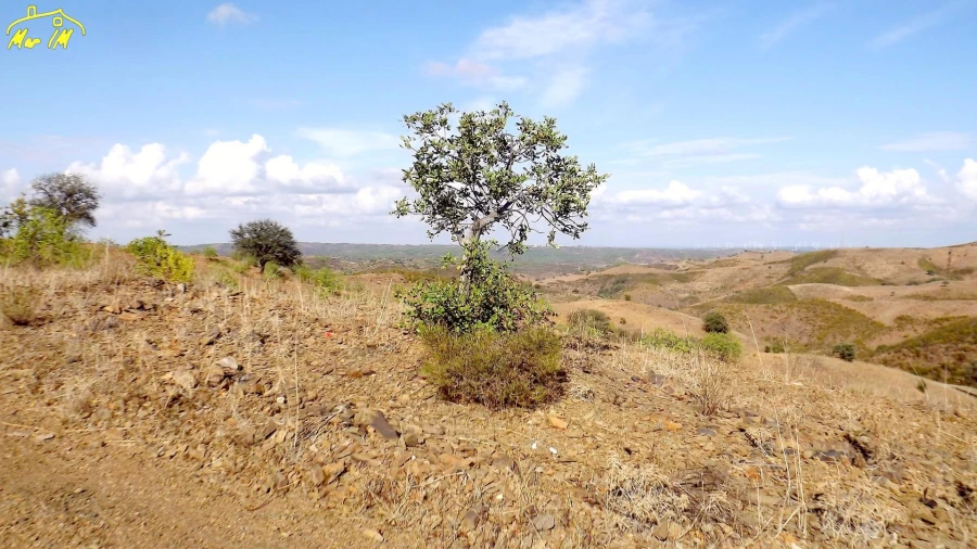 Terreno Agricola ou Rústico para Venda em Vila Real de Santo Antonio Foto 18