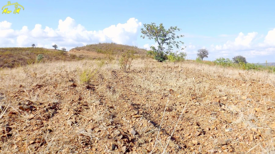 Terreno Agricola ou Rústico para Venda em Vila Real de Santo Antonio Foto 27