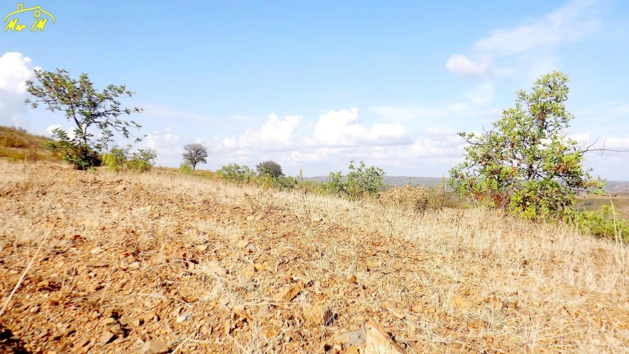 Terreno Agricola ou Rústico para Venda em Vila Real de Santo Antonio Foto 28