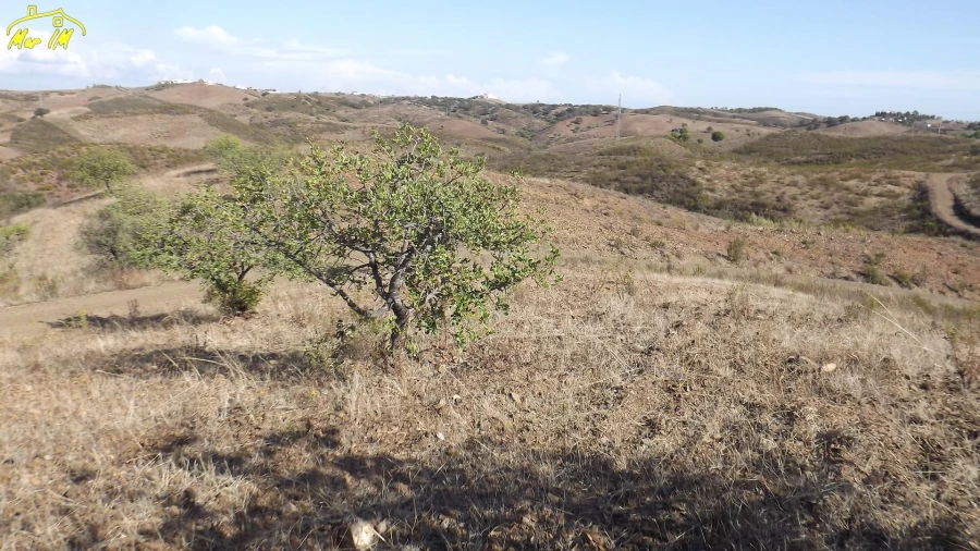 Terreno Agricola ou Rústico para Venda em Vila Real de Santo Antonio Foto 40