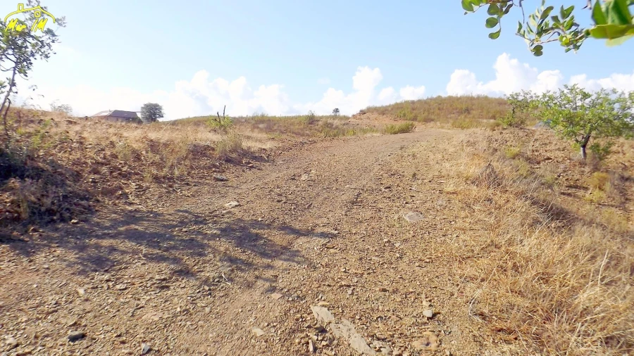 Terreno Agricola ou Rústico para Venda em Vila Real de Santo Antonio Foto 41