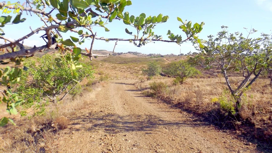 Terreno Agricola ou Rústico para Venda em Vila Real de Santo Antonio Foto 42