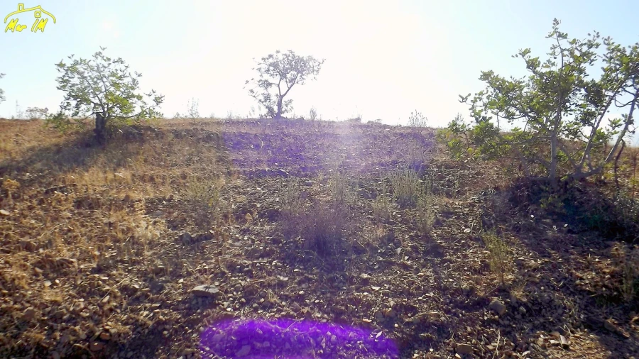 Terreno Agricola ou Rústico para Venda em Vila Real de Santo Antonio Foto 43