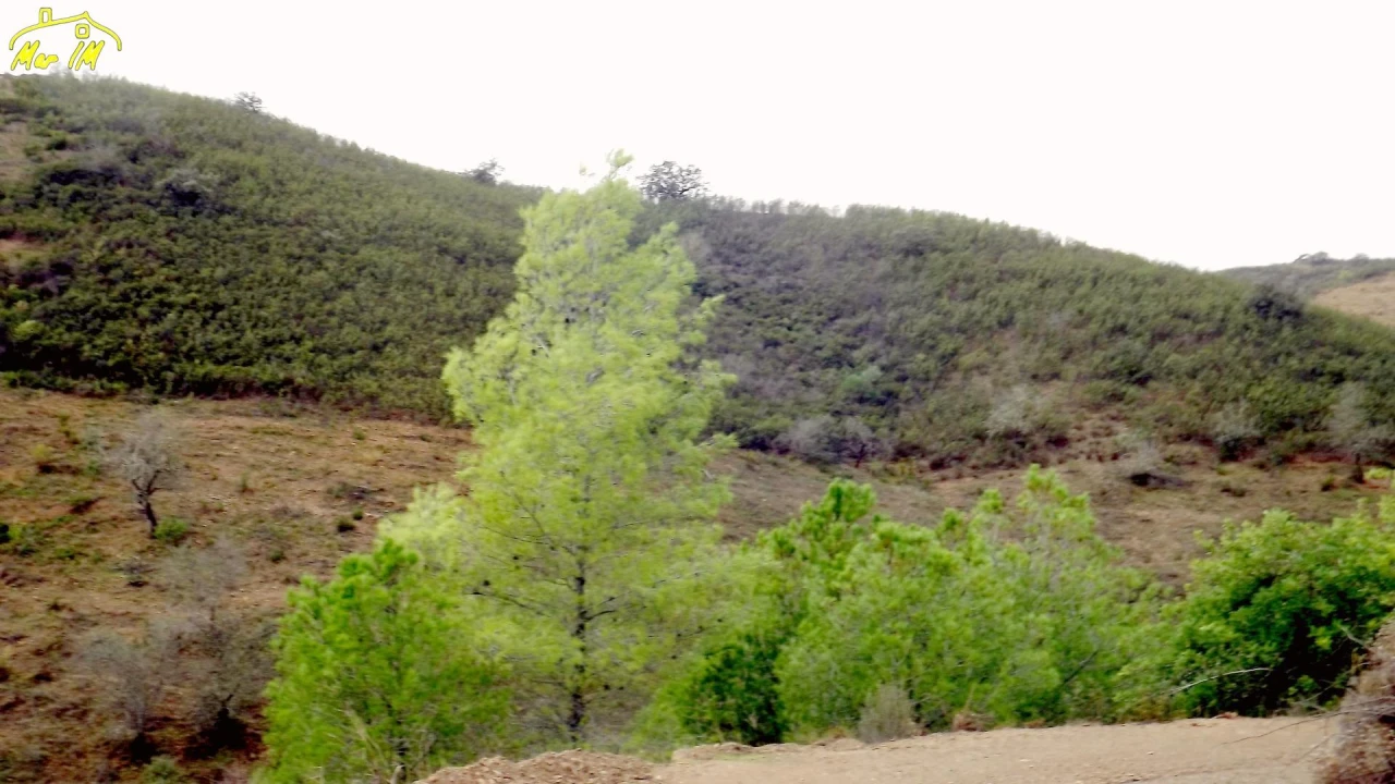 Terreno Agricola ou Rústico para Venda em Castro Marim Foto 10